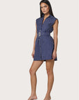 Kelly Dress in Indigo Stripe