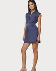 Kelly Dress in Indigo Stripe