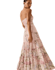 Long Dress Danny in Pink Botanic