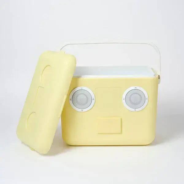 Beach Cooler Box