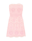 Vailia Dress in Pale Pink