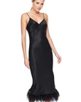 Raven Feather Dress