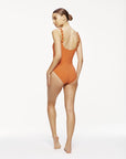 Sadie Silent Underwire One-Piece in Terra Cotta
