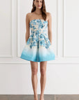 Indie  Mini Dress in Dauphine