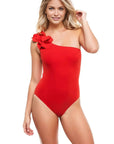 Tess One Shoulder One Piece in Cherry