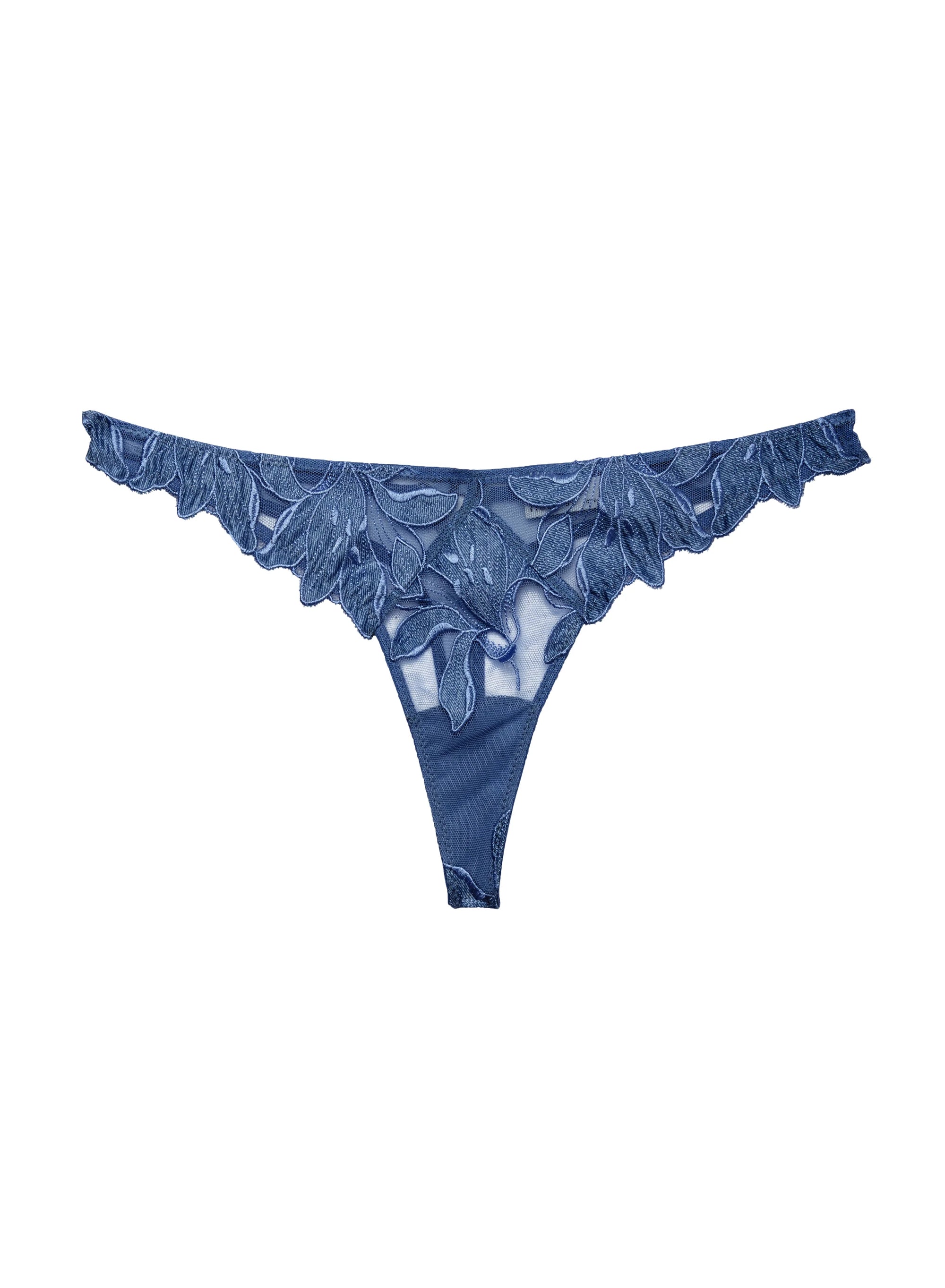 Lily Embroidery Hipster Thong in Spring Denim