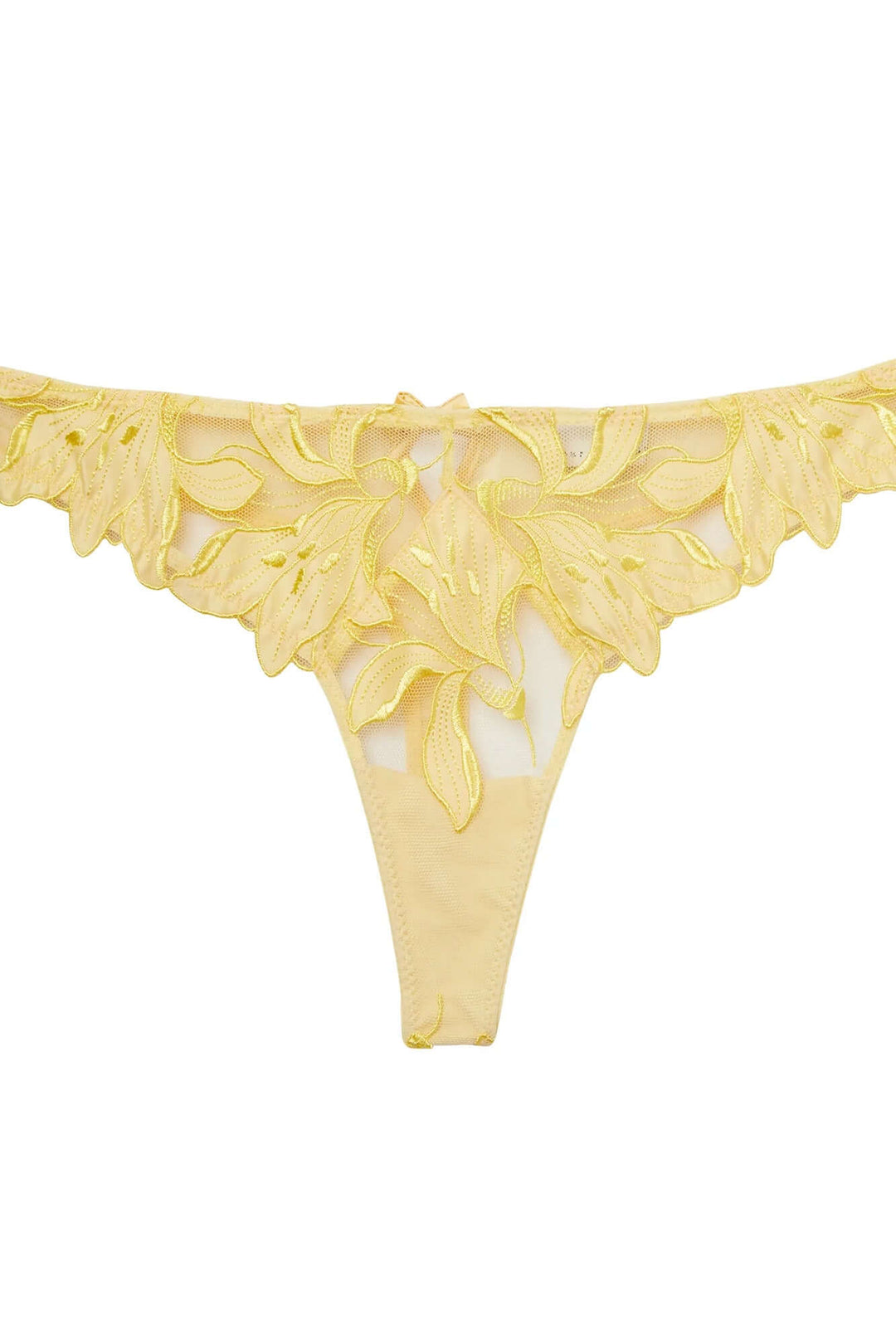 Lily Embroidered Hipster Thong