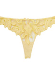 Lily Embroidered Hipster Thong